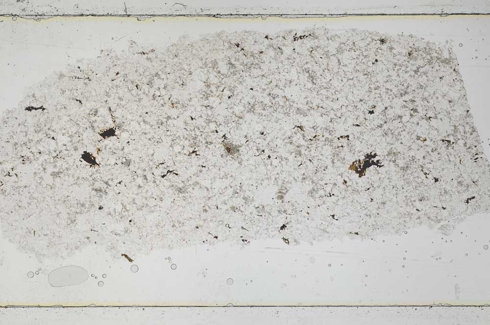 Plane Polarized, S50768
