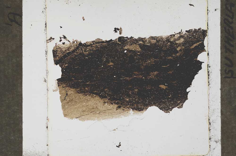 Plane Polarized, S50793