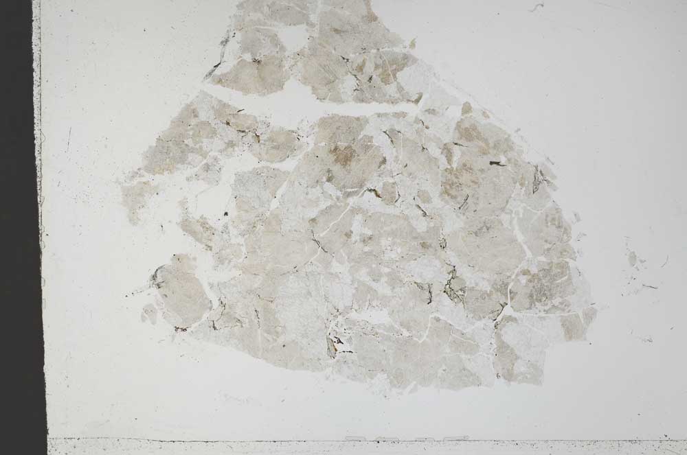 Plane Polarized, S50798
