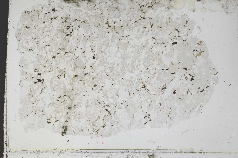 Plane Polarized, S50824