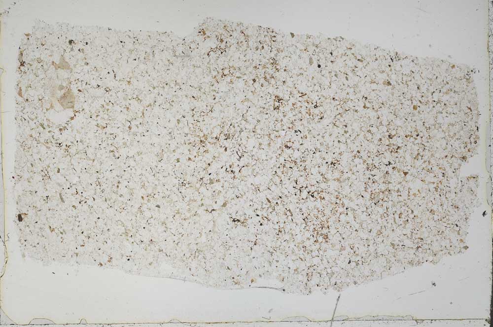 Plane Polarized, S50836