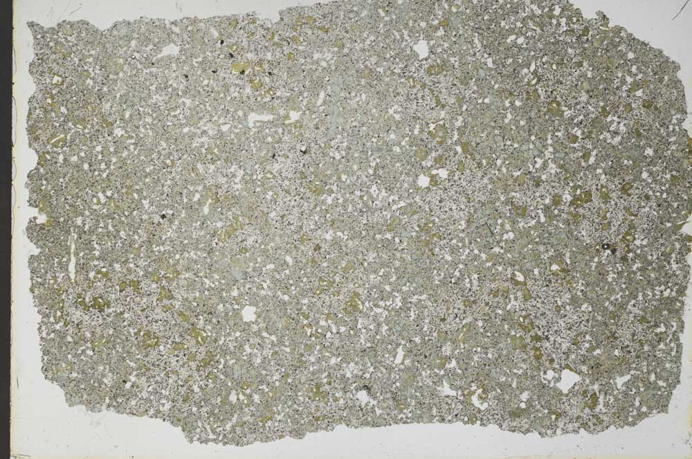 Plane Polarized, S50922