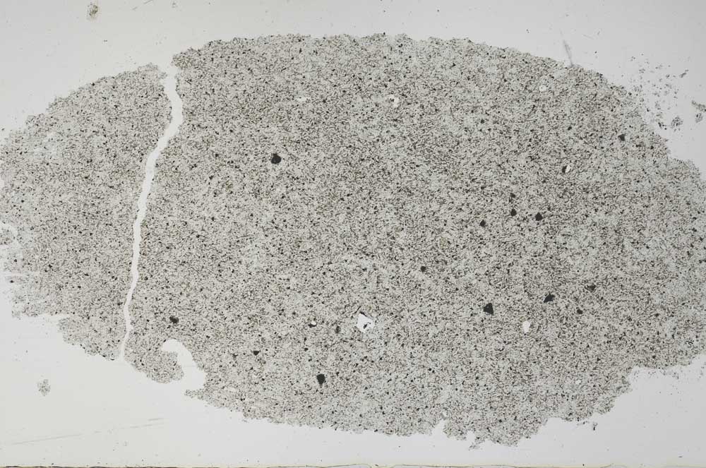 Plane Polarized, S50986
