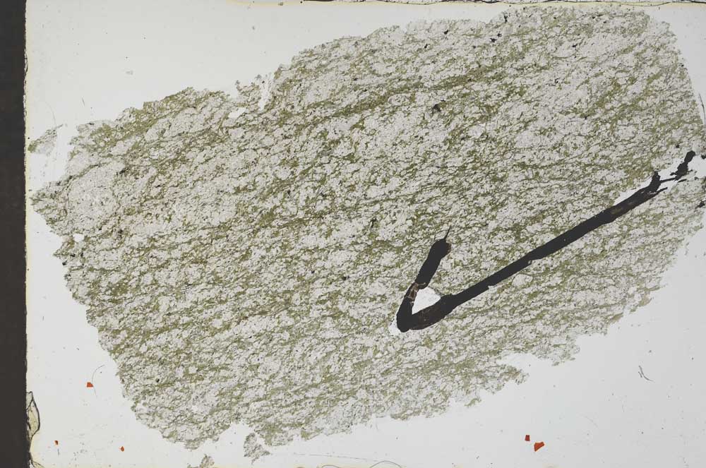 Plane Polarized, S51037