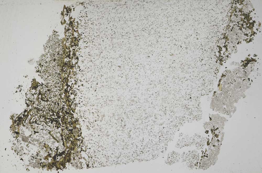 Plane Polarized, S51048