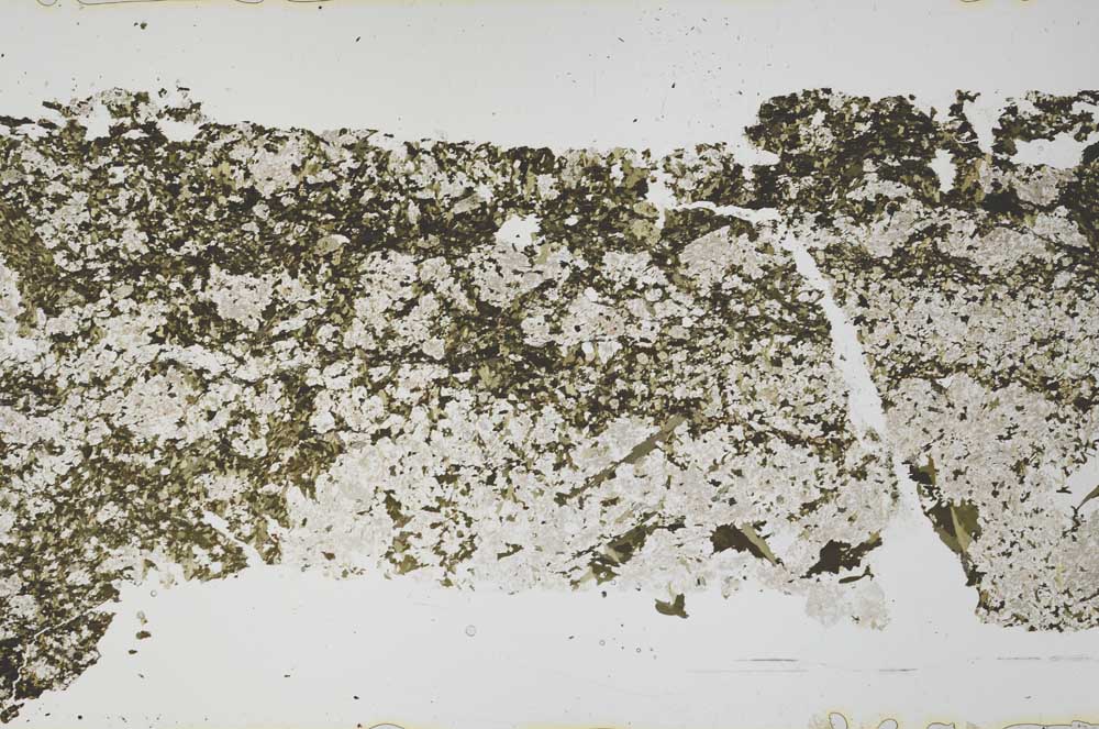 Plane Polarized, S51048/A