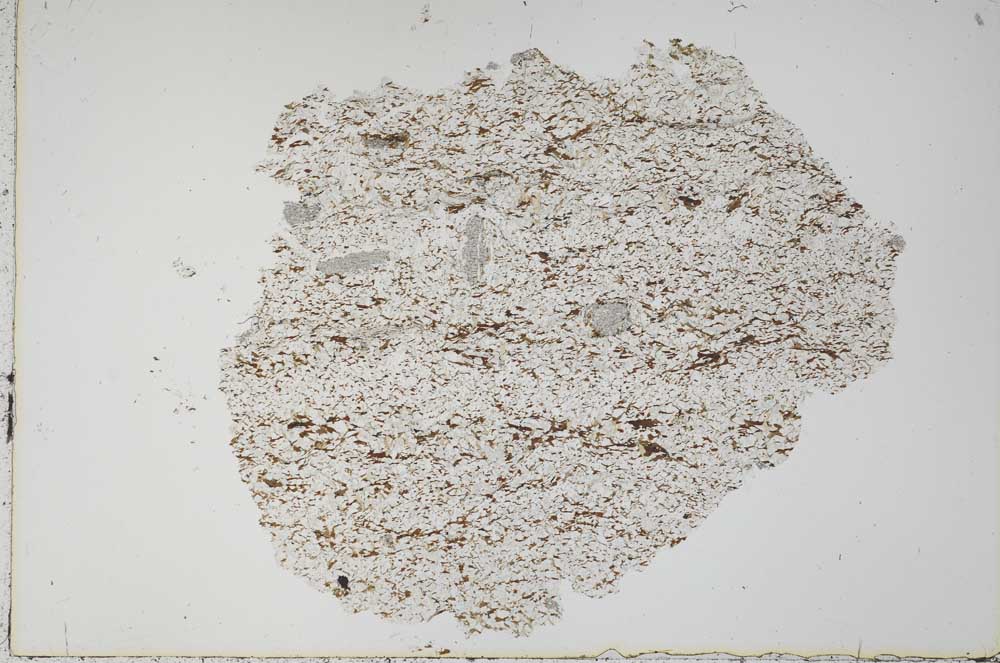 Plane Polarized, S51052
