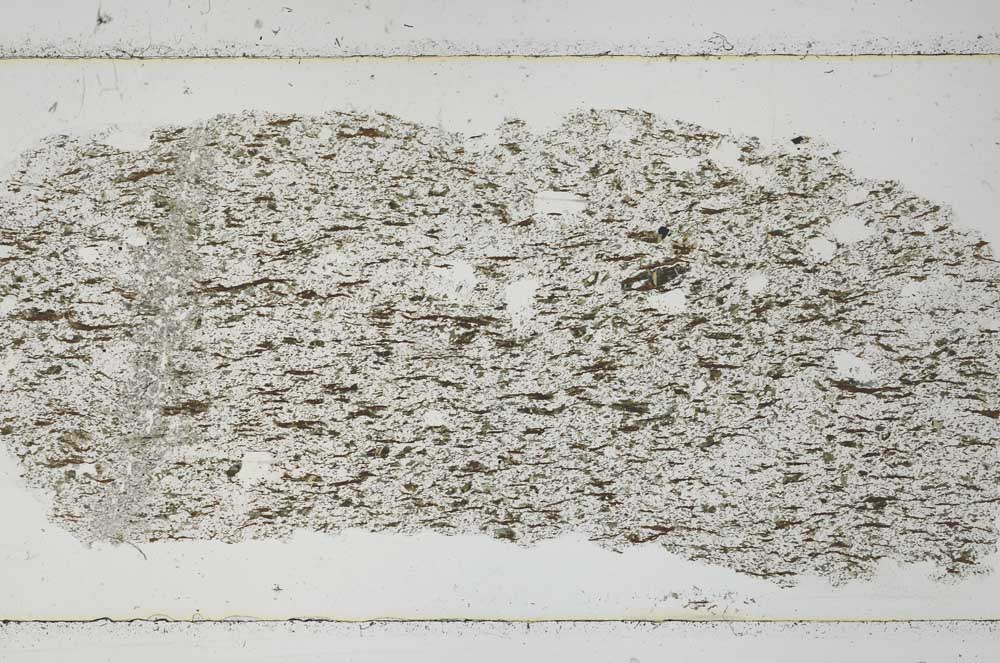Plane Polarized, S51058