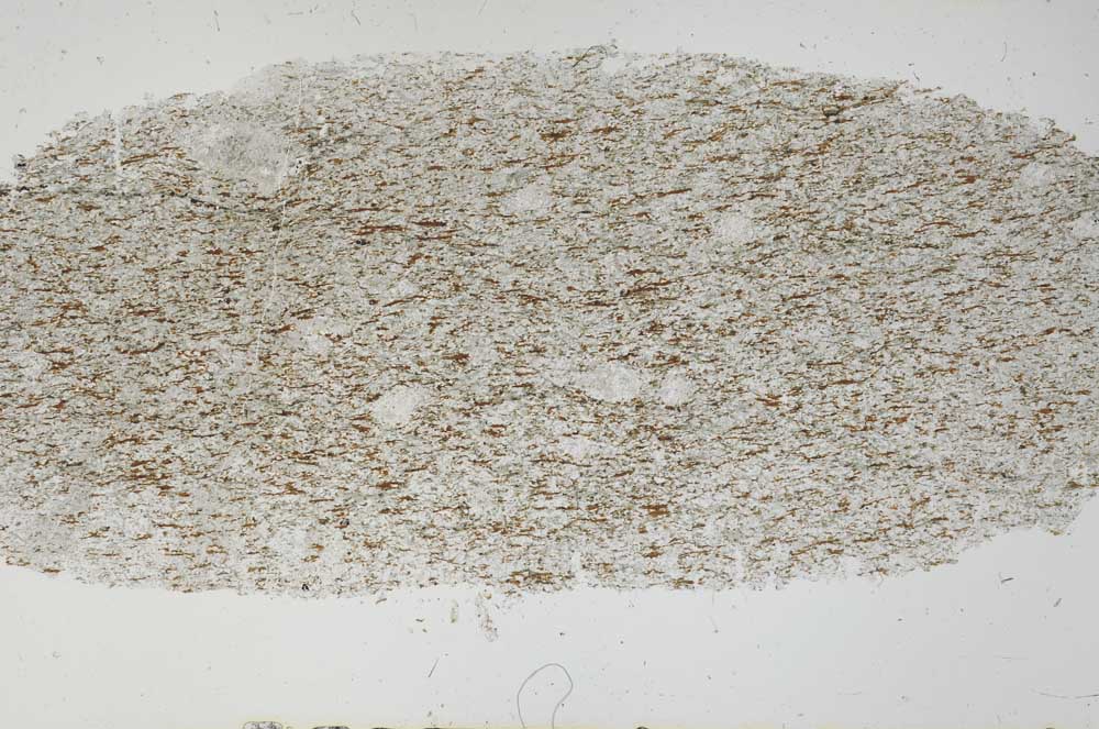 Plane Polarized, S51059