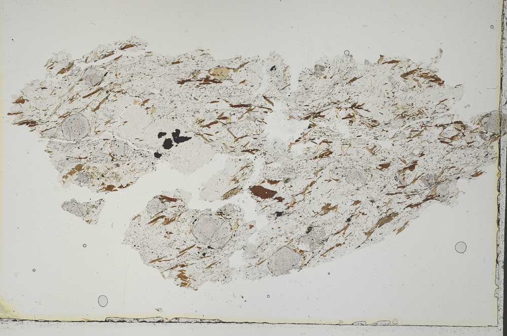 Plane Polarized, S51065