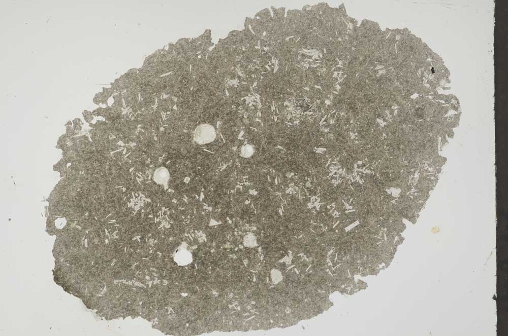 Plane Polarized, S51071