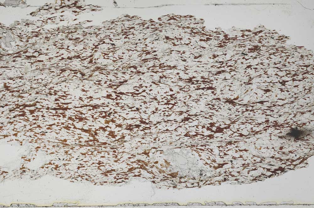 Plane Polarized, S51096