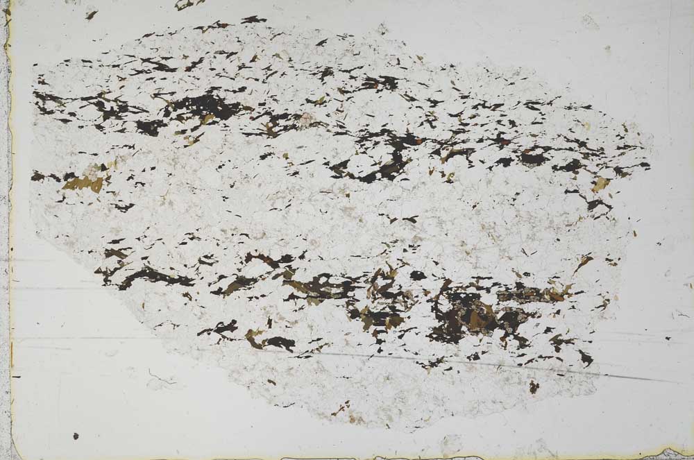Plane Polarized, S51098