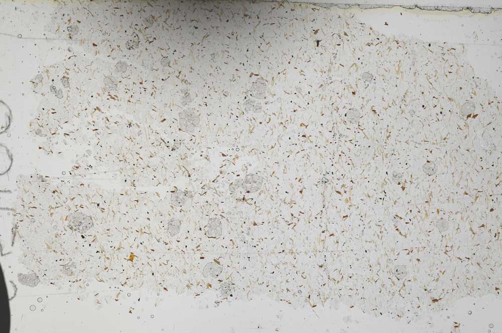 Plane Polarized, S51100