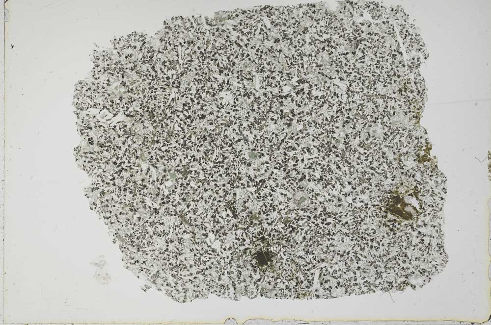 Plane Polarized, S51186