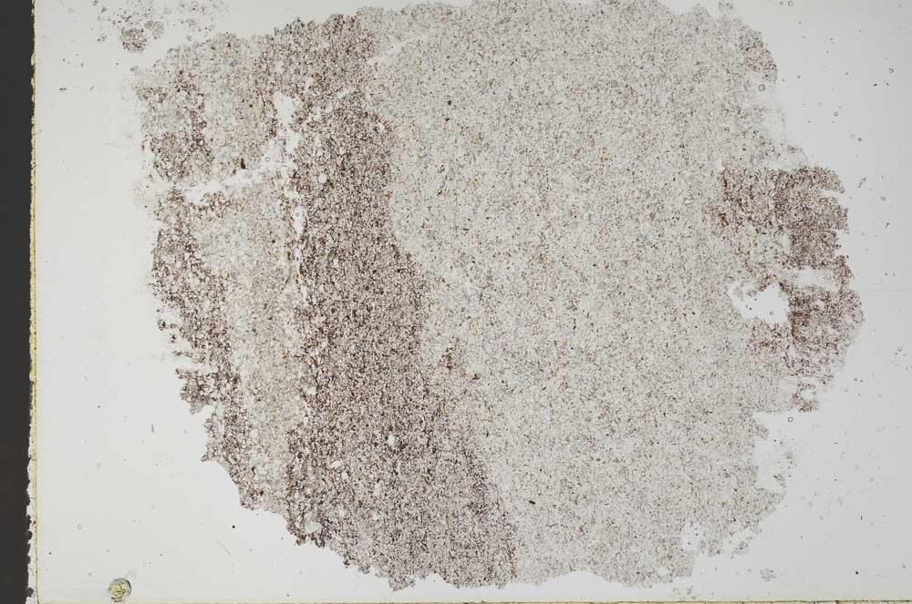 Plane Polarized, S51192