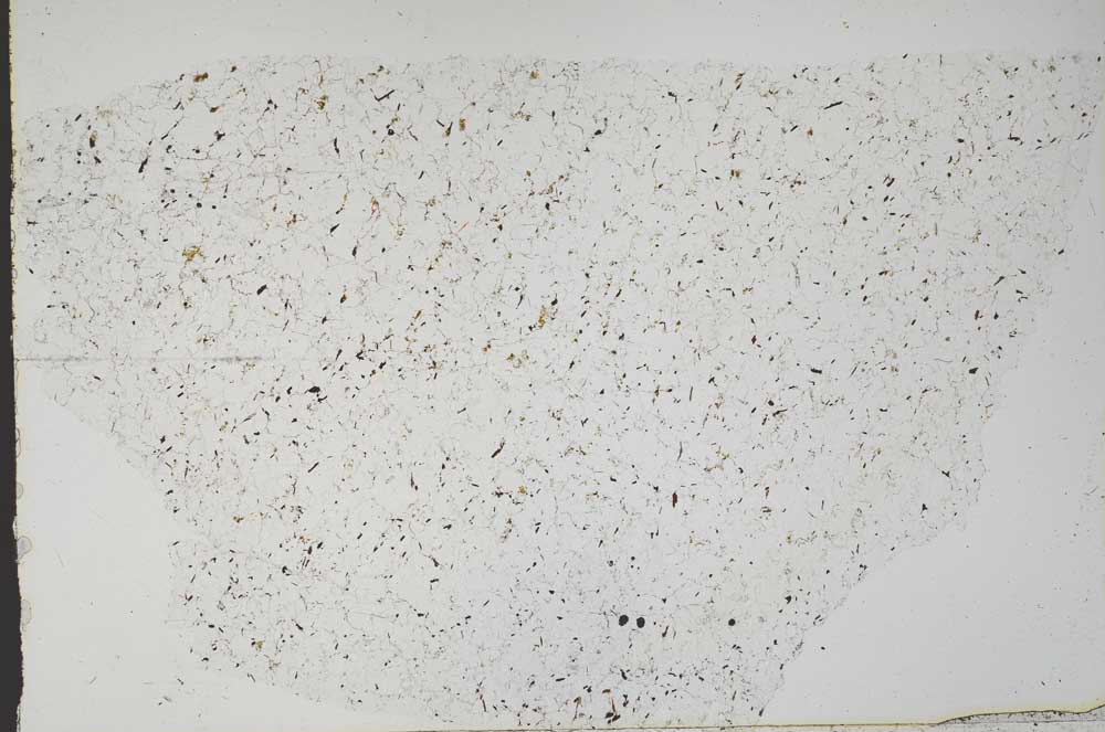Plane Polarized, S51197