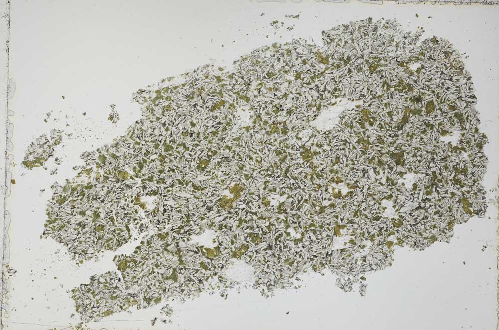 Plane Polarized, S51203