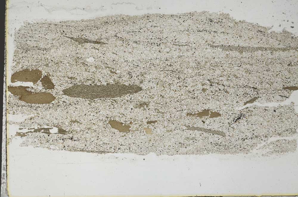 Plane Polarized, S51274