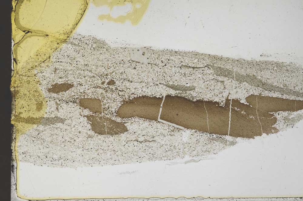 Plane Polarized, S51274/A