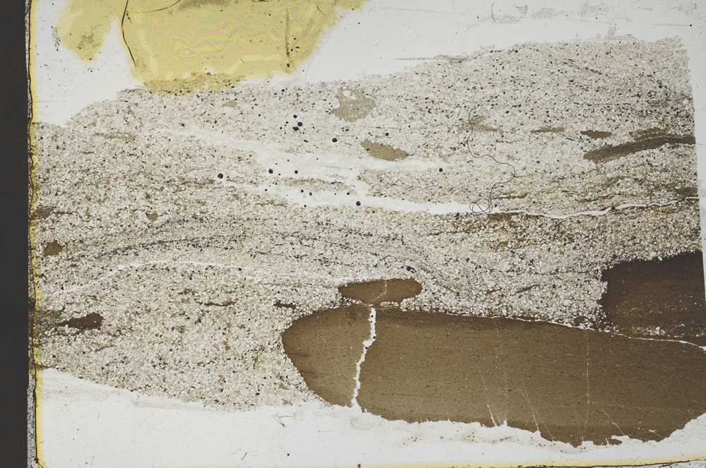 Plane Polarized, S51275