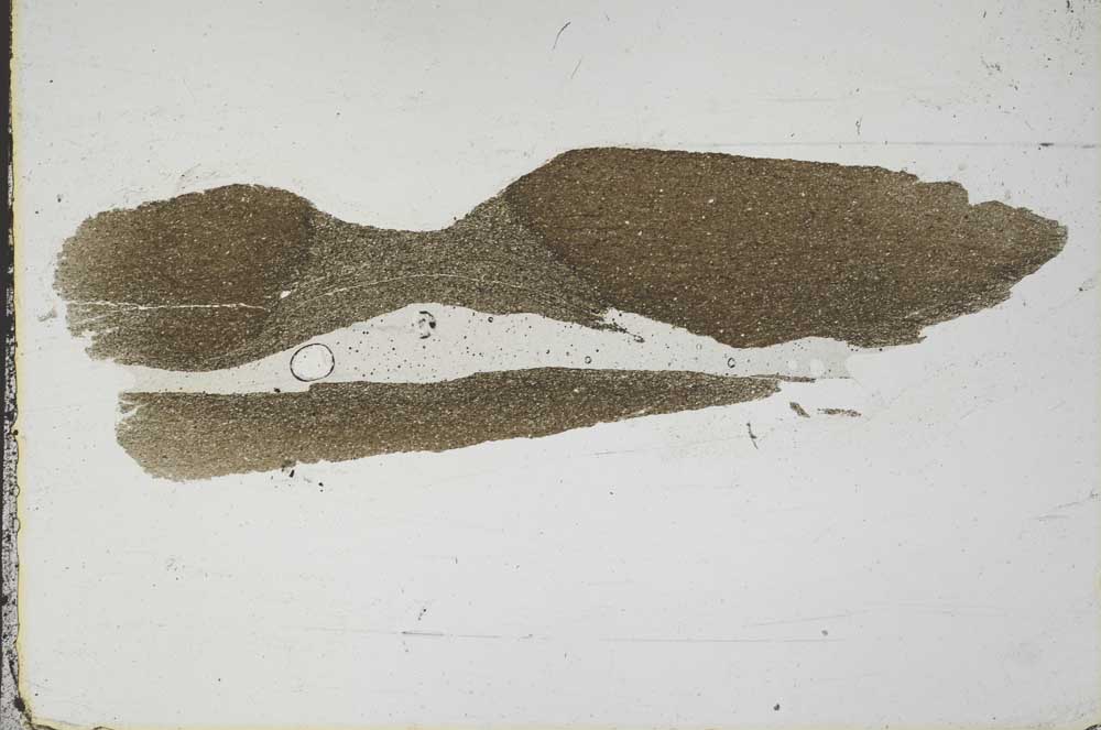 Plane Polarized, S51276