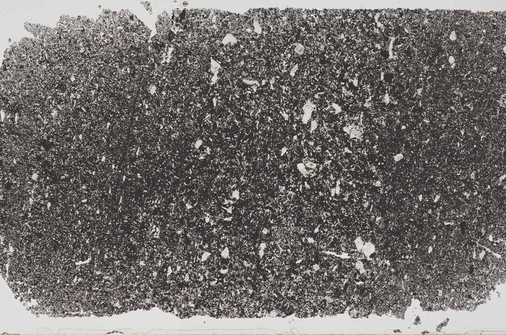 Plane Polarized, S51329