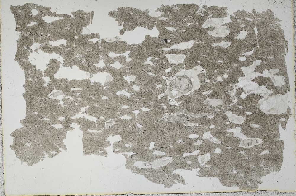 Plane Polarized, S51330