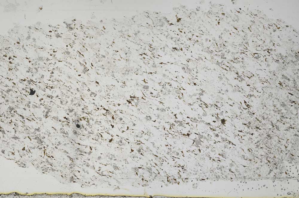 Plane Polarized, S51332