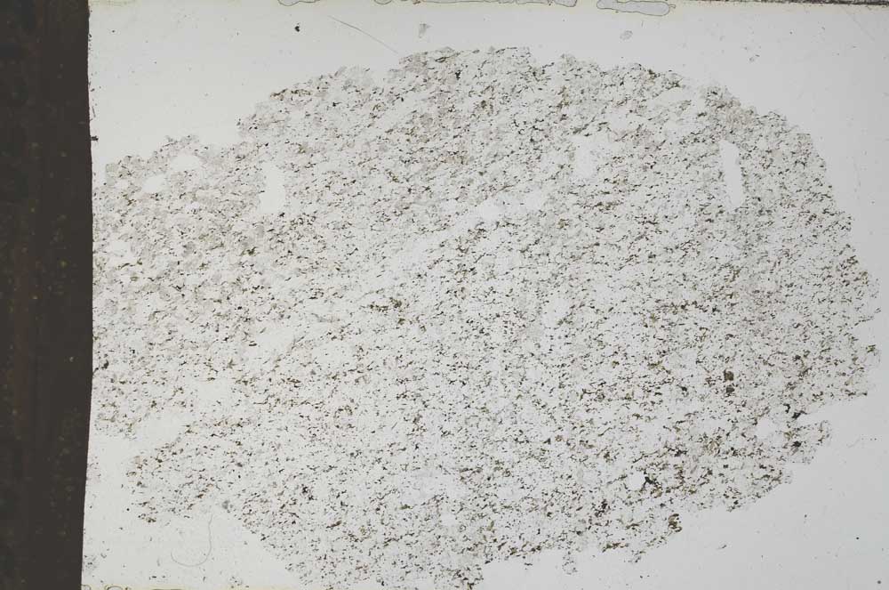 Plane Polarized, S51339