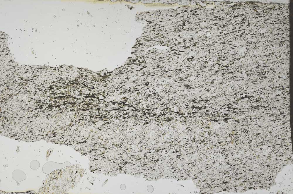 Plane Polarized, S51340