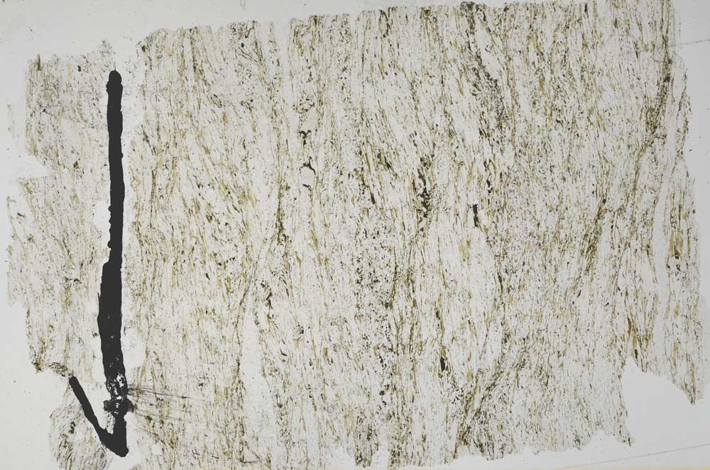 Plane Polarized, S51341