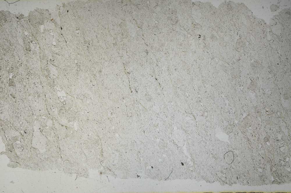 Plane Polarized, S51343