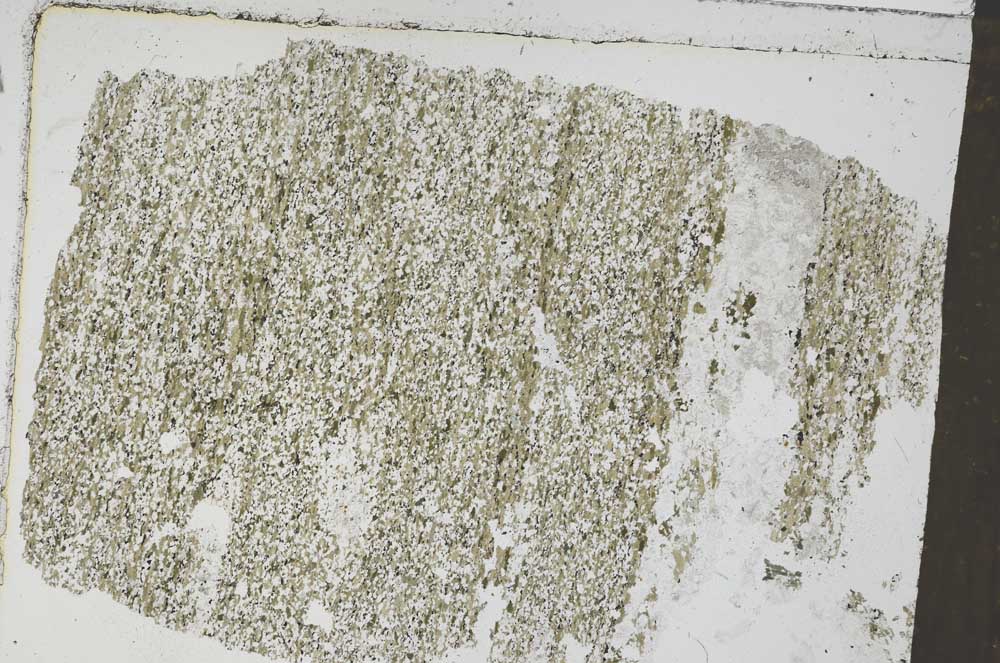 Plane Polarized, S51347