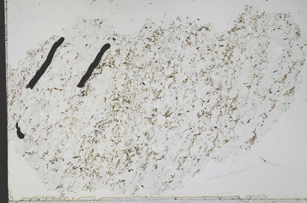 Plane Polarized, S51348