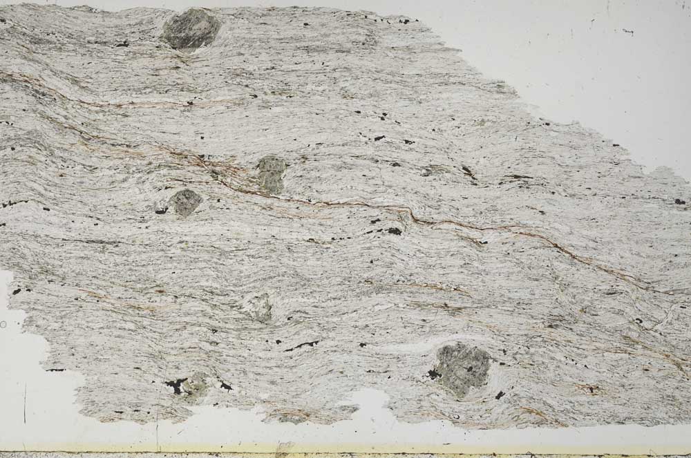 Plane Polarized, S51350