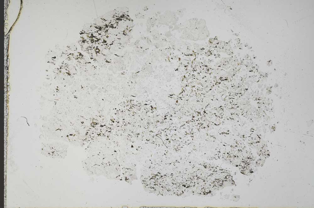 Plane Polarized, S51352