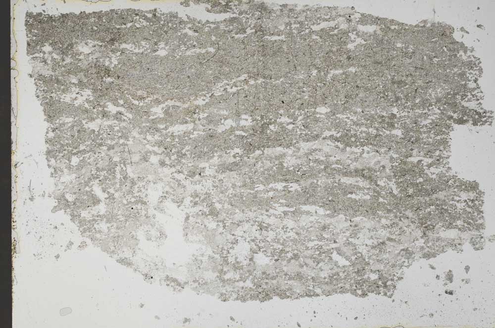 Plane Polarized, S51355