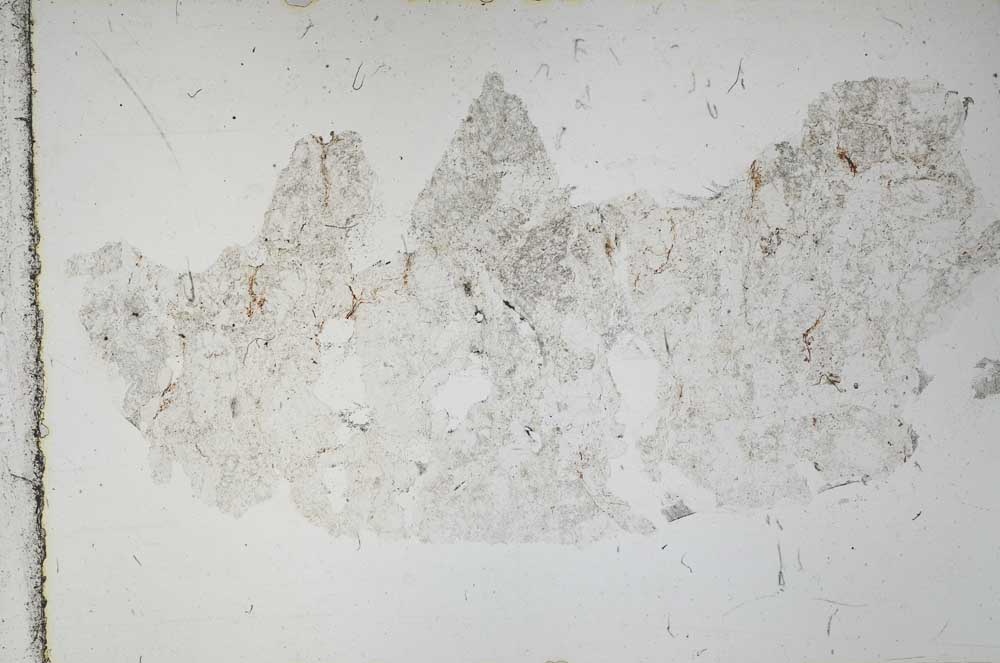 Plane Polarized, S51356