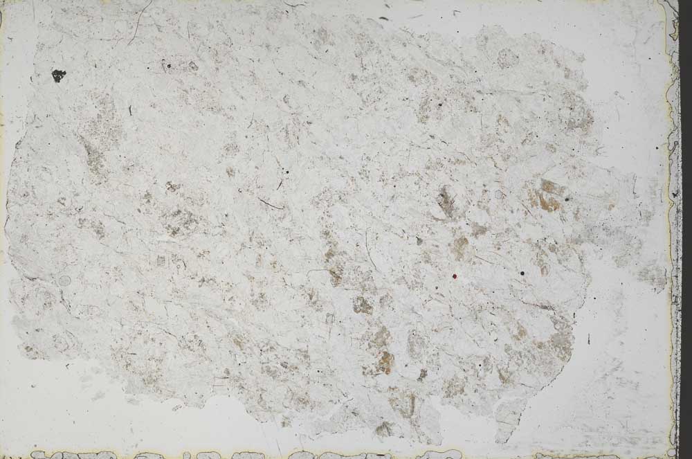 Plane Polarized, S51358