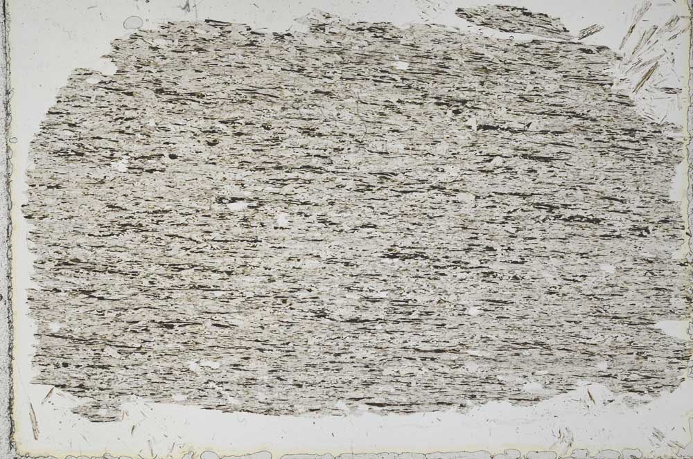 Plane Polarized, S51360