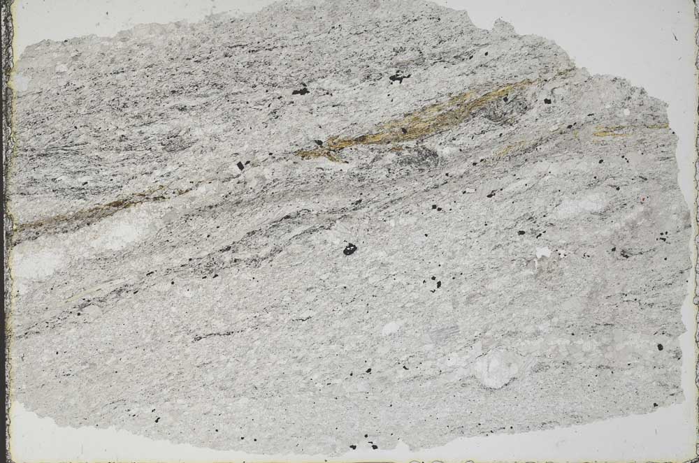 Plane Polarized, S51361