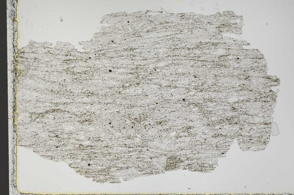 Plane Polarized, S51363