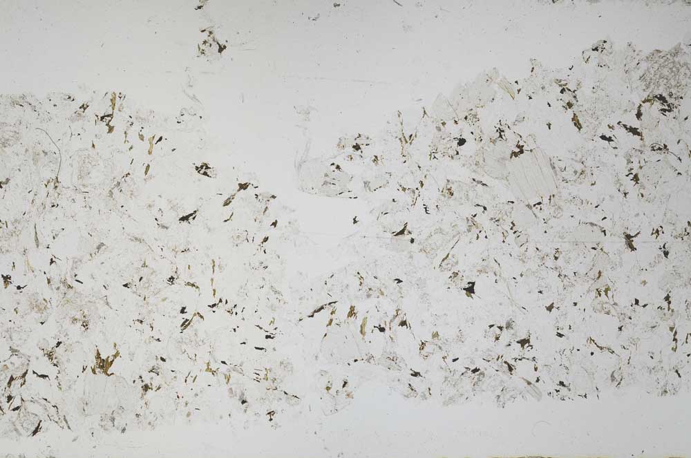 Plane Polarized, S51365