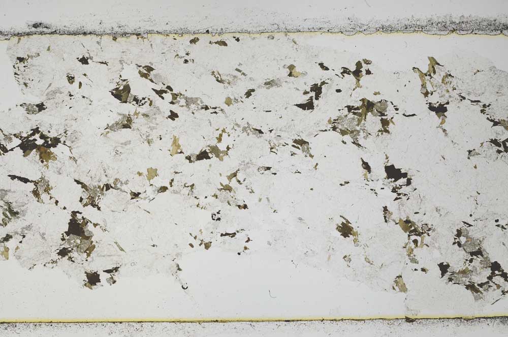 Plane Polarized, S51370