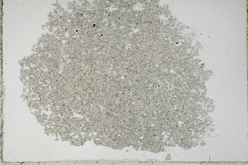 Plane Polarized, S51372