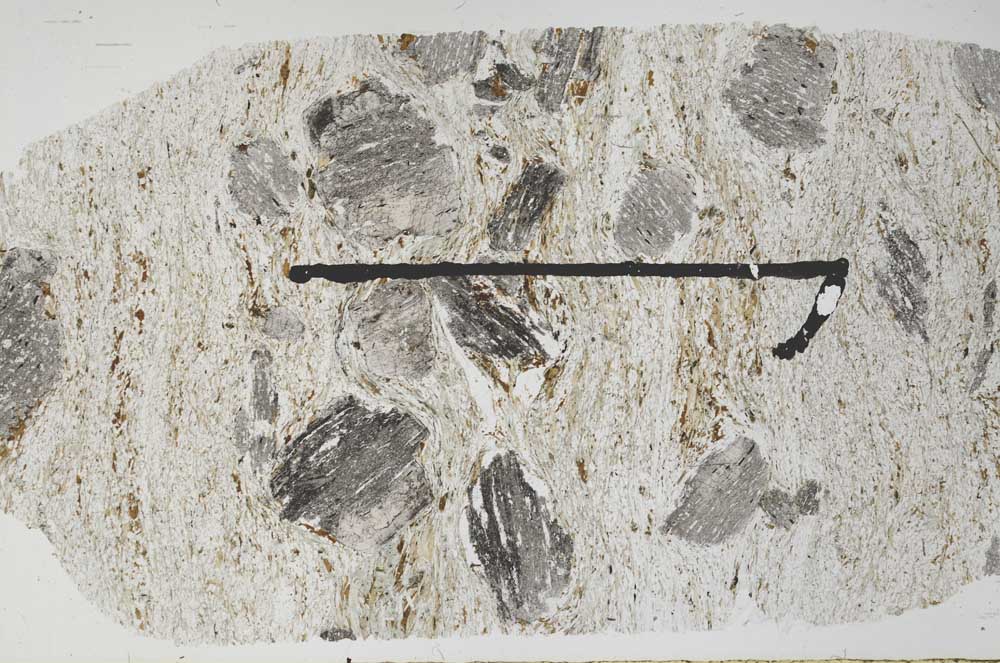 Plane Polarized, S51380