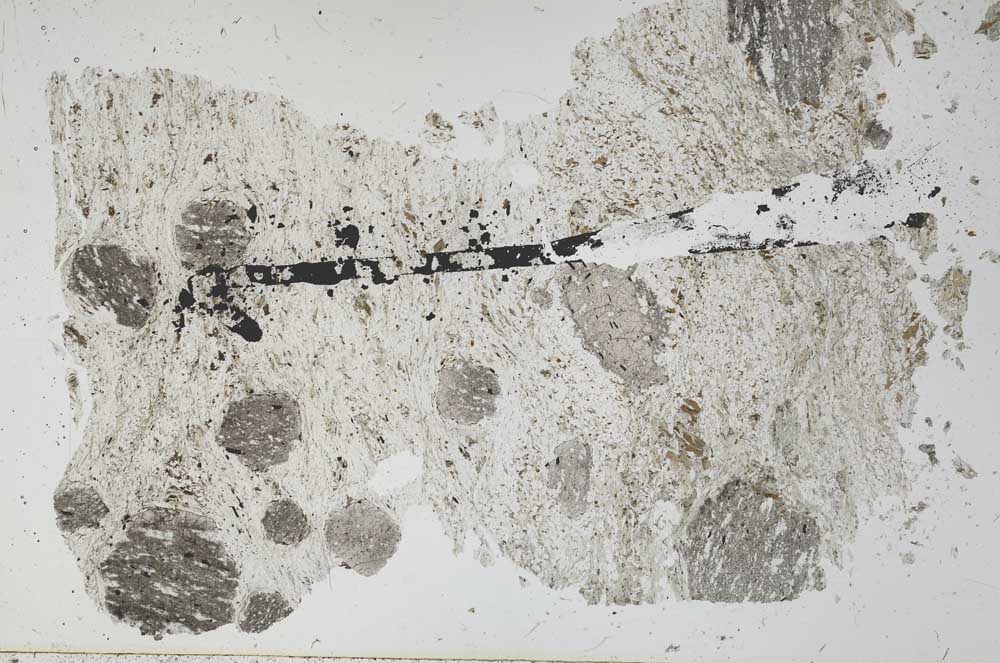 Plane Polarized, S51380/B