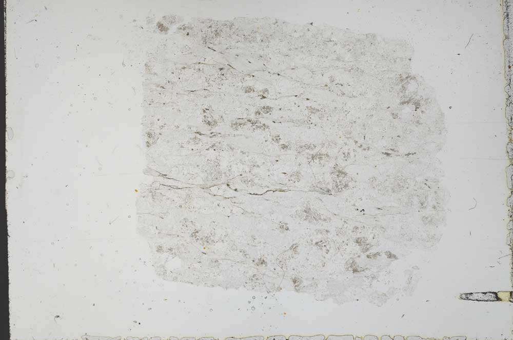 Plane Polarized, S51389