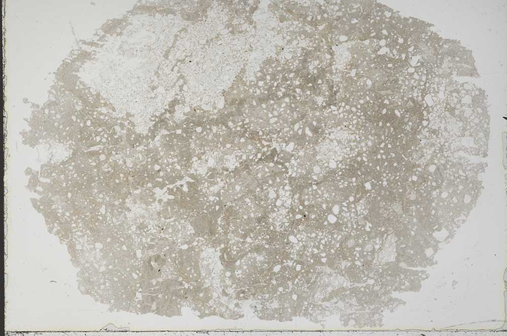 Plane Polarized, S51396